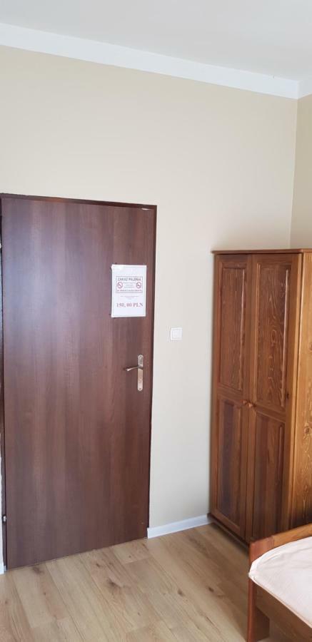 Kaktus * Krakau